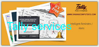 Authorized Tally service provider delhi